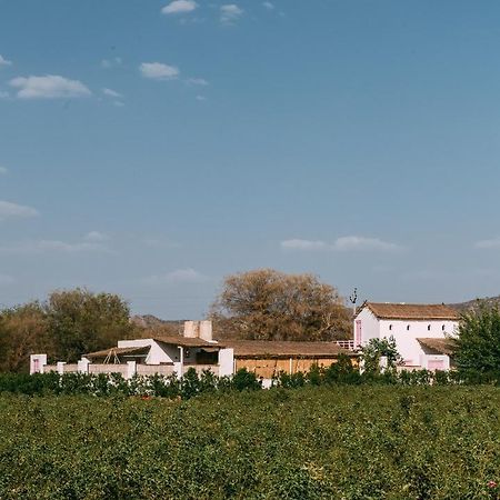 The Luxe Pushkar - A Luxury Farmstay In Pushkar Exterior photo
