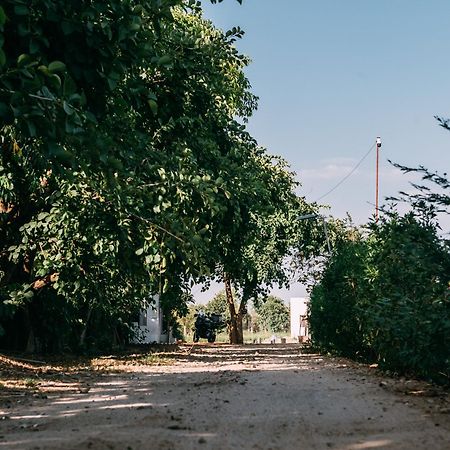 The Luxe Pushkar - A Luxury Farmstay In Pushkar Exterior photo
