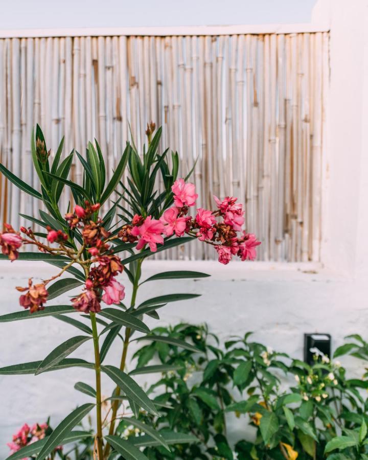 The Luxe Pushkar - A Luxury Farmstay In Pushkar Exterior photo