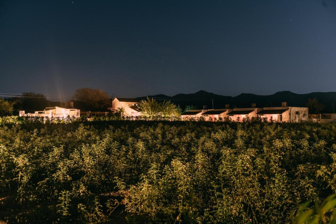 The Luxe Pushkar - A Luxury Farmstay In Pushkar Exterior photo