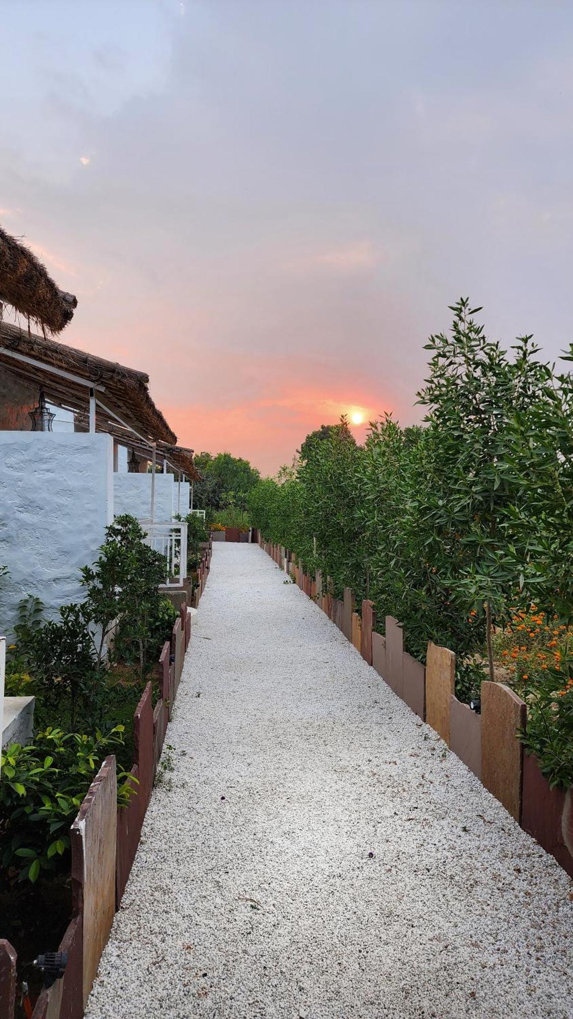 The Luxe Pushkar - A Luxury Farmstay In Pushkar Exterior photo